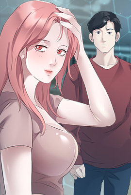 钢之炼金术师 封面